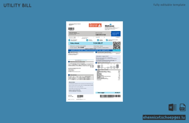 Argentina MetroGAS S.A. factura de gas utility bill word sample preview